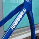 (Used) Frameset CERVELO S5 MY22 51 JV Europe Champion Repaint