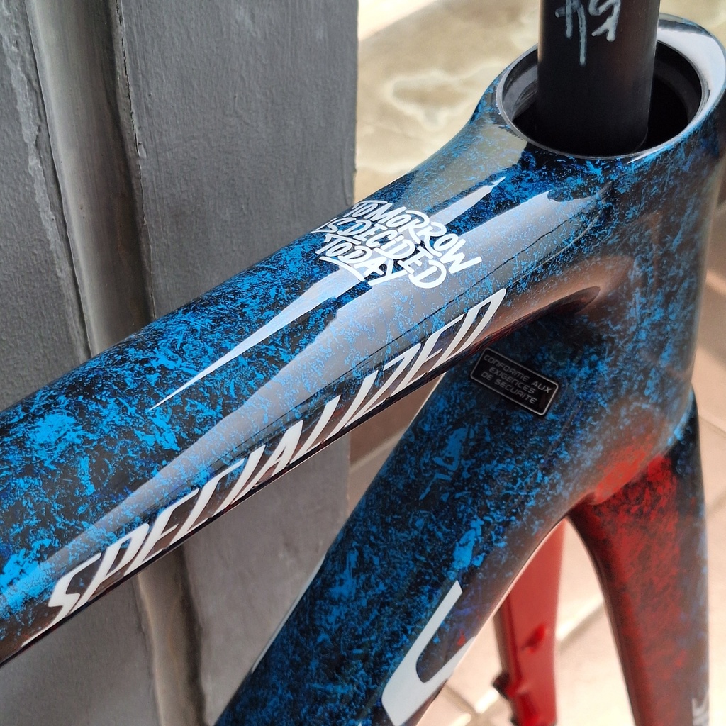  Frameset S-WORKS Tarmac SL8 54 FDJ Sues